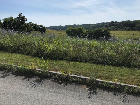 86 Briarpatch Court Fall Branch Tn 37656, Fall Branch, TN 37656 photo 1