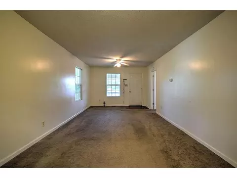302 E Chestnut Johnson City Tn 37601, Johnson City, TN 37601 photo 9