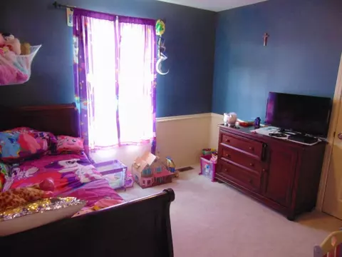 261 Roscoe Fitz Road Gray Tn 37615, Gray, TN 37615 photo 10