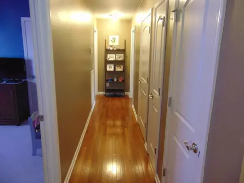 261 Roscoe Fitz Road Gray Tn 37615, Gray, TN 37615 photo 3