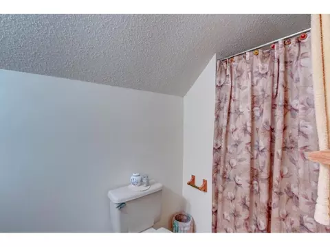 153 View Drive Limestone Tn 37681, Limestone, TN 37681 photo 22