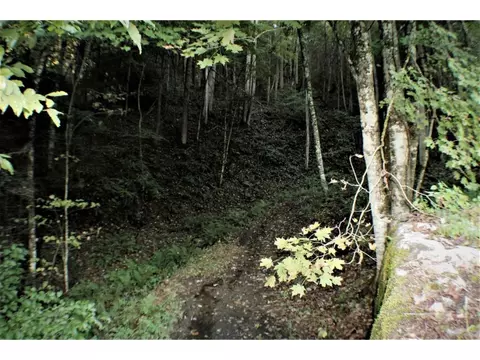 325 Piney Grove Road Hampton Tn 37658, Hampton, TN 37658 photo 30