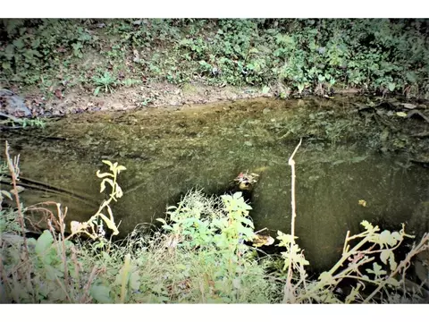 325 Piney Grove Road Hampton Tn 37658, Hampton, TN 37658 photo 31