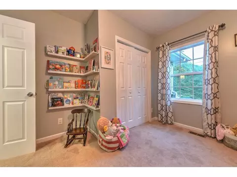 394 Browns Branch Road Hampton Tn 37658, Hampton, TN 37658 photo 30