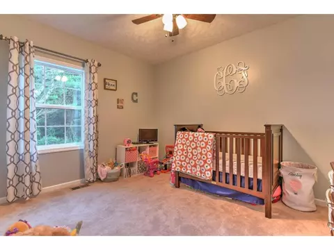 394 Browns Branch Road Hampton Tn 37658, Hampton, TN 37658 photo 29