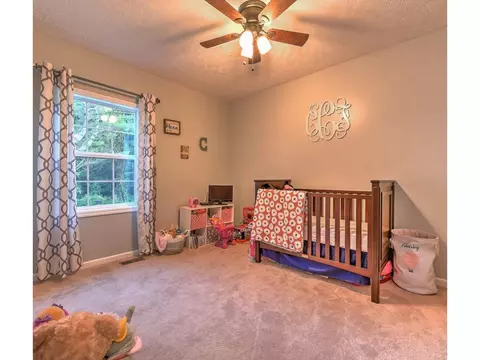 394 Browns Branch Road Hampton Tn 37658, Hampton, TN 37658 photo 28