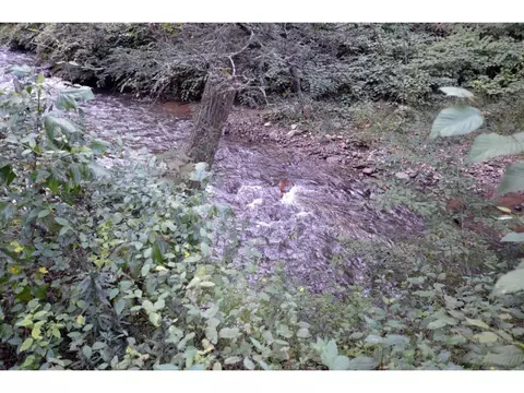 5700 Highway 19 Hampton Tn 37658, Hampton, TN 37658 photo 3