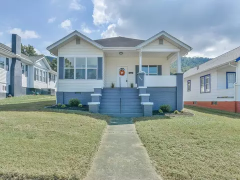 220 Alabama Avenue Erwin Tn 37650, Erwin, TN 37650 photo 3