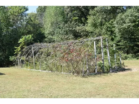 8130 Irwin Drive Corryton Tn 37721, Corryton, TN 37721 photo 30