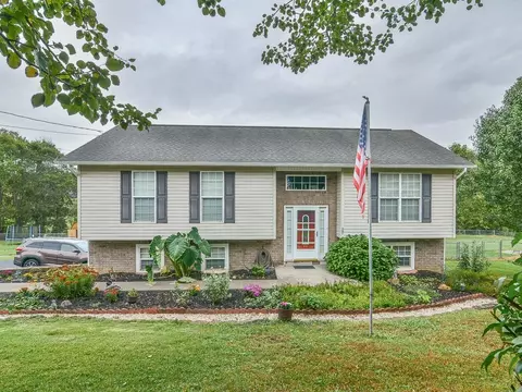347 Mcinturff Road Limestone Tn 37681, Limestone, TN 37681 photo 1