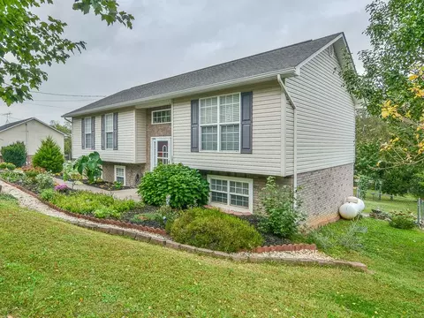 347 Mcinturff Road Limestone Tn 37681, Limestone, TN 37681 photo 3