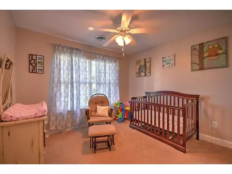 103 Ridgeview Meadows Drive Gray Tn 37615, Gray, TN 37615 photo 24