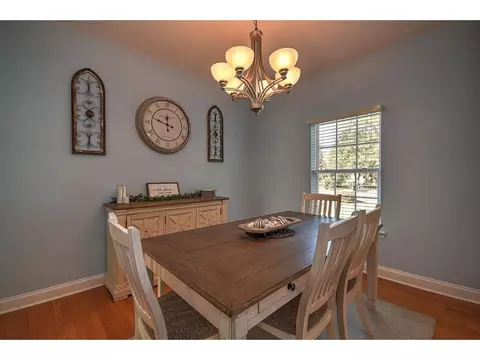 103 Ridgeview Meadows Drive Gray Tn 37615, Gray, TN 37615 photo 10