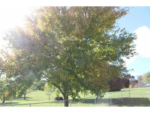 119 Westview Drive Limestone Tn 37681, Limestone, TN 37681 photo 11
