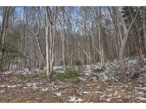 2603 Gap Creek Road Hampton Tn 37658, Hampton, TN 37658 photo 30