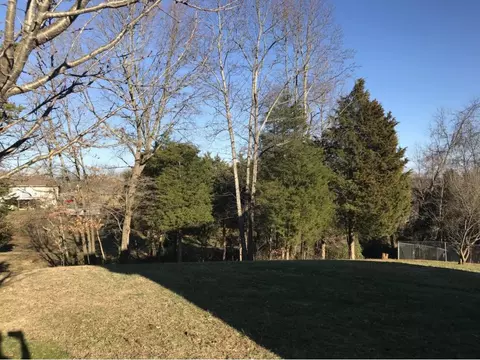 224 Ridgeview Drive Gray Tn 37615, Gray, TN 37615 photo 22