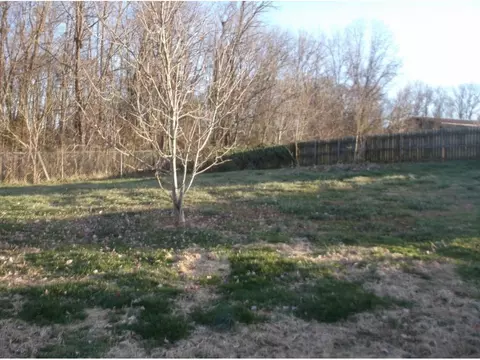 205 Roaming Drive Chuckey Tn 37641, Chuckey, TN 37641 photo 29