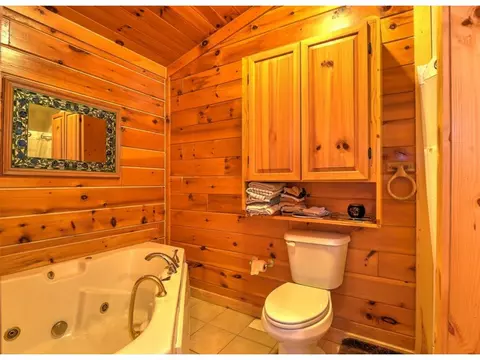 151 Lone Oak Road Erwin Tn 37650, Erwin, TN 37650 photo 14
