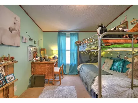 334 5th Avenue Watauga Tn 37694, Watauga, TN 37694 photo 24