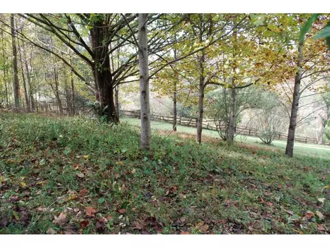 222 Valley Street Wise Va 24293, Wise, VA 24293 photo 21