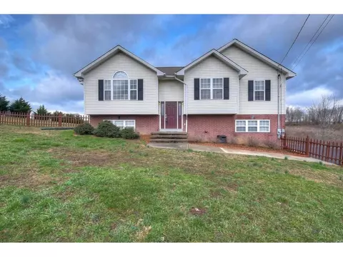 1033 Mountain Meadows Drive Limestone Tn 37681, Limestone, TN 37681 photo 1