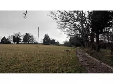 1134 Glades Mohawk Tn 37810, Mohawk, TN 37810 photo 29