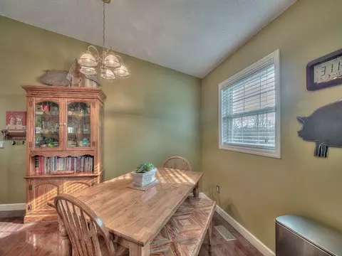 233 Ridgeview Drive Gray Tn 37615, Gray, TN 37615 photo 10