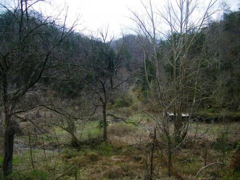 1028 Pumpkin Valley Road Eidson Tn 37731, Eidson, TN 37731 photo 4