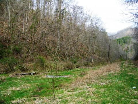 1028 Pumpkin Valley Road Eidson Tn 37731, Eidson, TN 37731 photo 17