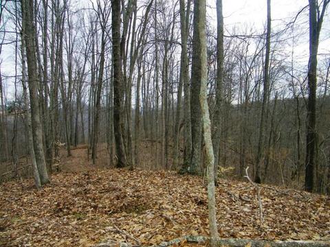 1028 Pumpkin Valley Road Eidson Tn 37731, Eidson, TN 37731 photo 10