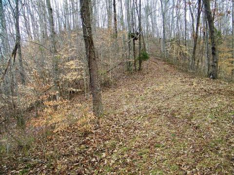 1028 Pumpkin Valley Road Eidson Tn 37731, Eidson, TN 37731 photo 14