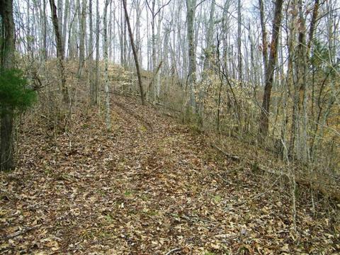 1028 Pumpkin Valley Road Eidson Tn 37731, Eidson, TN 37731 photo 13