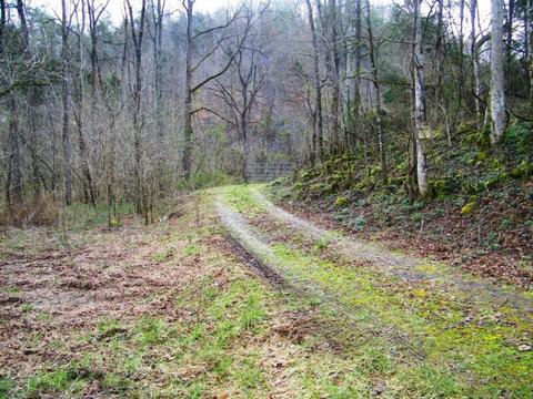 1028 Pumpkin Valley Road Eidson Tn 37731, Eidson, TN 37731 photo 7