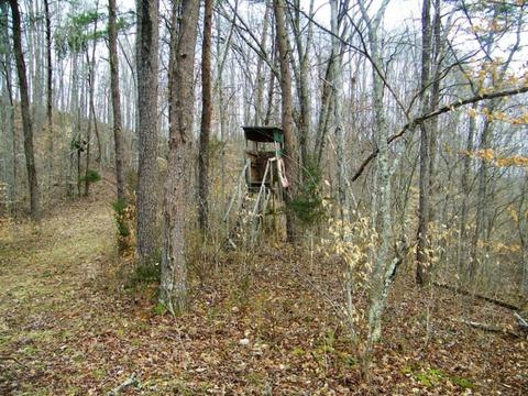 1028 Pumpkin Valley Road Eidson Tn 37731, Eidson, TN 37731 photo 15