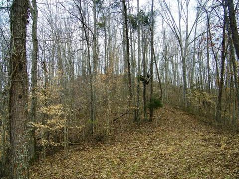 1028 Pumpkin Valley Road Eidson Tn 37731, Eidson, TN 37731 photo 12