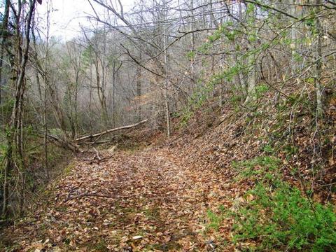 1028 Pumpkin Valley Road Eidson Tn 37731, Eidson, TN 37731 photo 21