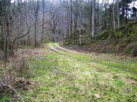 1028 Pumpkin Valley Road Eidson Tn 37731, Eidson, TN 37731 photo 2