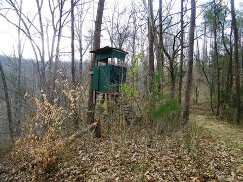 1028 Pumpkin Valley Road Eidson Tn 37731, Eidson, TN 37731 photo 11