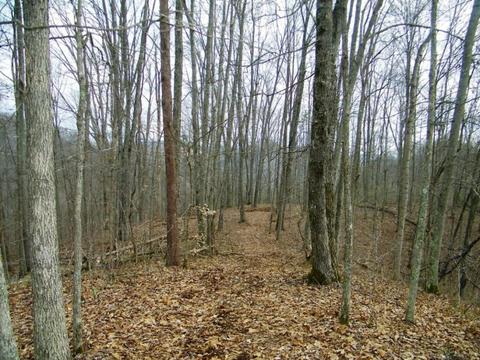 1028 Pumpkin Valley Road Eidson Tn 37731, Eidson, TN 37731 photo 8