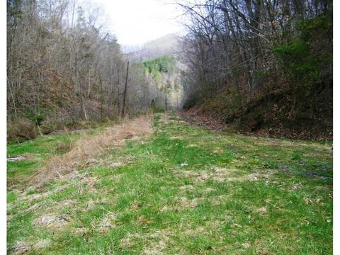 1028 Pumpkin Valley Road Eidson Tn 37731, Eidson, TN 37731 photo 19