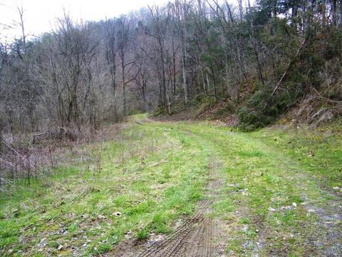 1028 Pumpkin Valley Road Eidson Tn 37731, Eidson, TN 37731 photo 1
