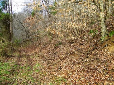 1028 Pumpkin Valley Road Eidson Tn 37731, Eidson, TN 37731 photo 18