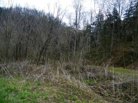 1028 Pumpkin Valley Road Eidson Tn 37731, Eidson, TN 37731 photo 6