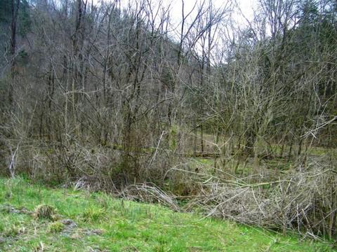1028 Pumpkin Valley Road Eidson Tn 37731, Eidson, TN 37731 photo 3
