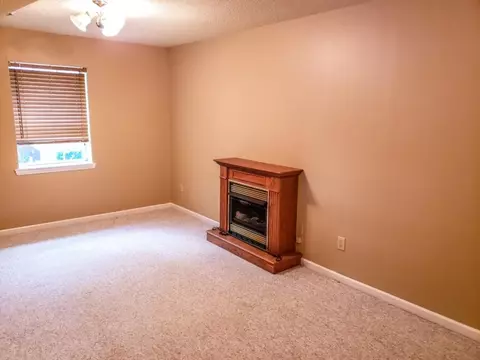 250 Ridgeview Drive Gray Tn 37615, Gray, TN 37615 photo 5