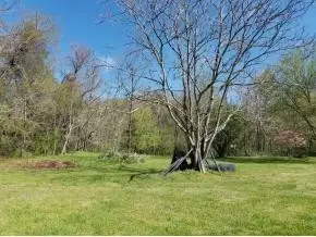 125 Birch Drive Erwin Tn 37650, Erwin, TN 37650 photo 29