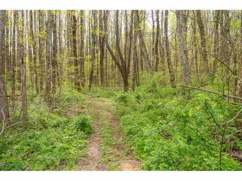 18260 Spring Lake Road Abingdon Va 24210, Abingdon, VA 24210 photo 16