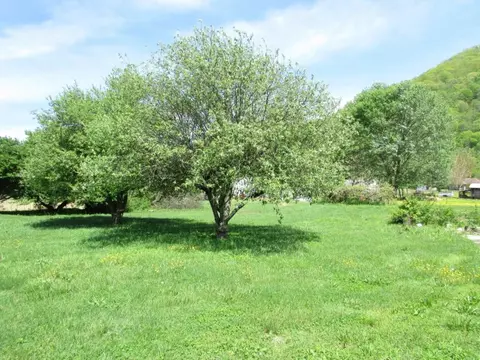 1099 Rittertown Road Hampton Tn 37658, Hampton, TN 37658 photo 4