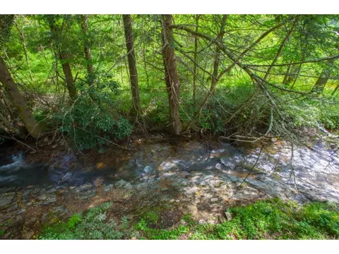 2040 Spivey Mountain Road Erwin Tn 37650, Erwin, TN 37650 photo 13
