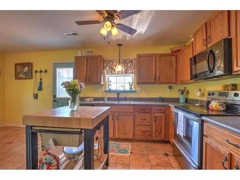 770 Oss Williams Limestone Tn 37681, Limestone, TN 37681 photo 16